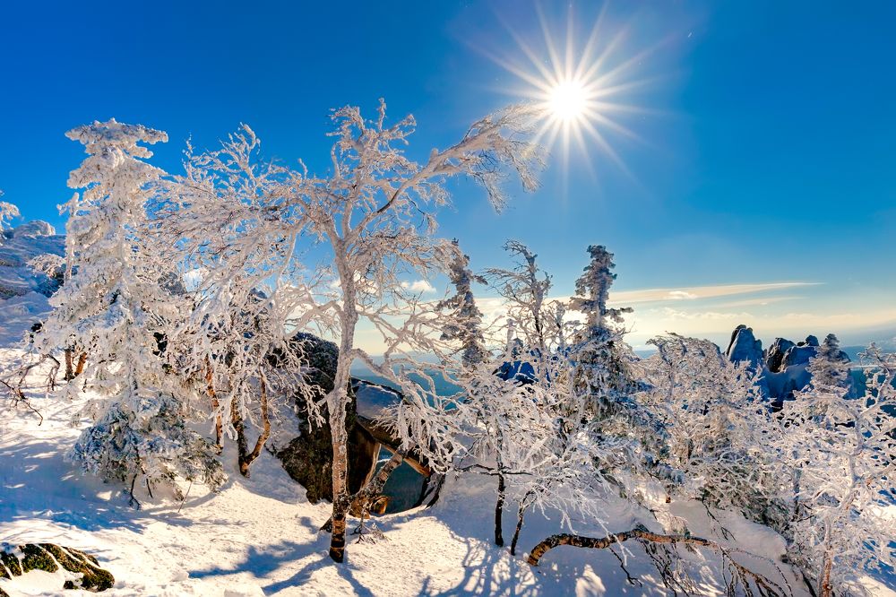 Photograph by Сергей Евдокимов