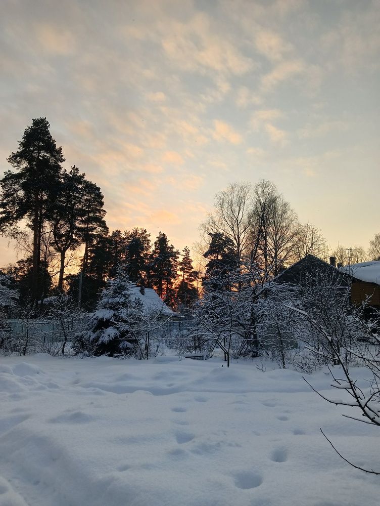 Photo #8634706