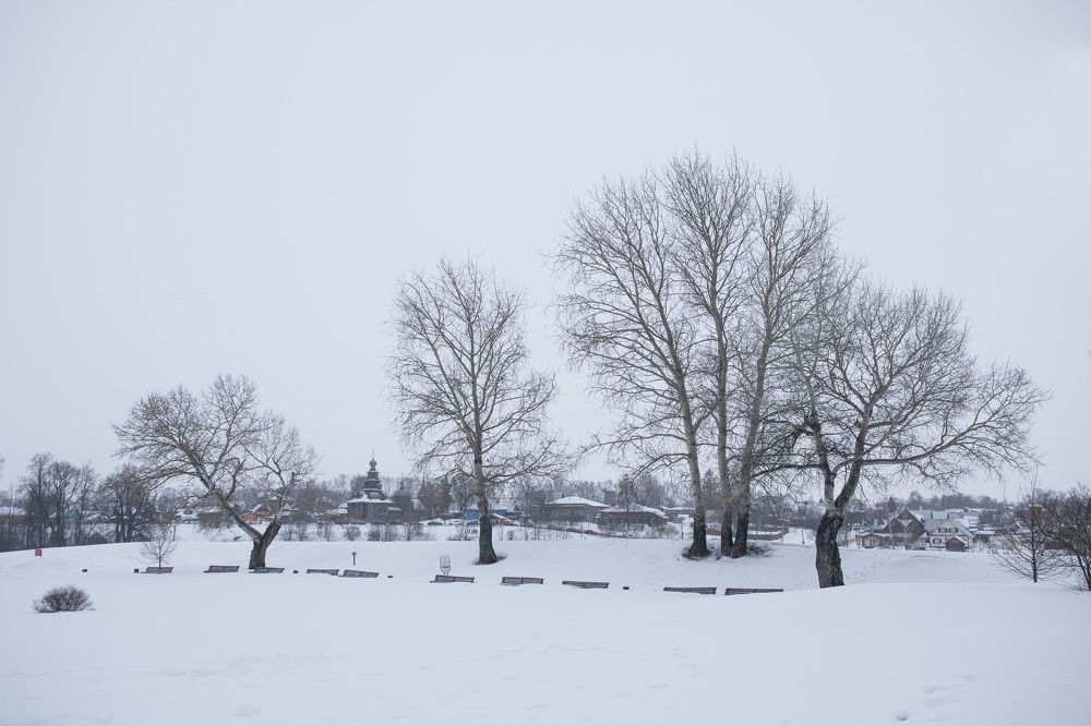 Photograph by Алексей Соломин