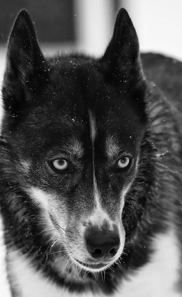 Photograph by Елена Одынец