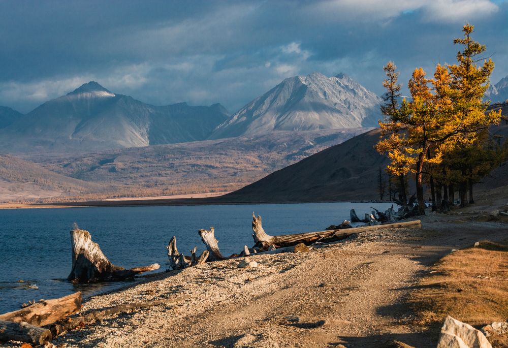 Фотография автора Анастасия