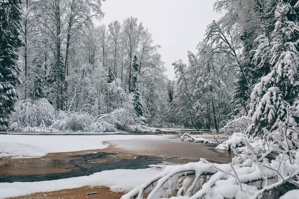 Photograph by Демушкин Петр