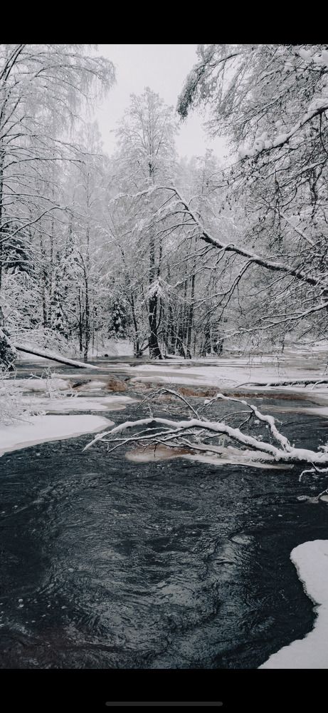 Photograph by Демушкин Петр