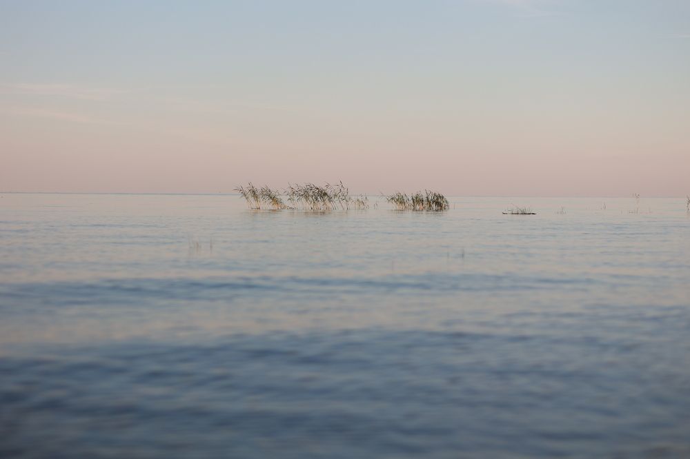 Photograph by Екатерина