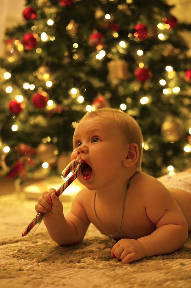 Photograph by Екатерина Ардашева