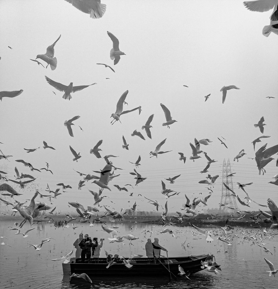 Фотография автора Anuj Medhavi