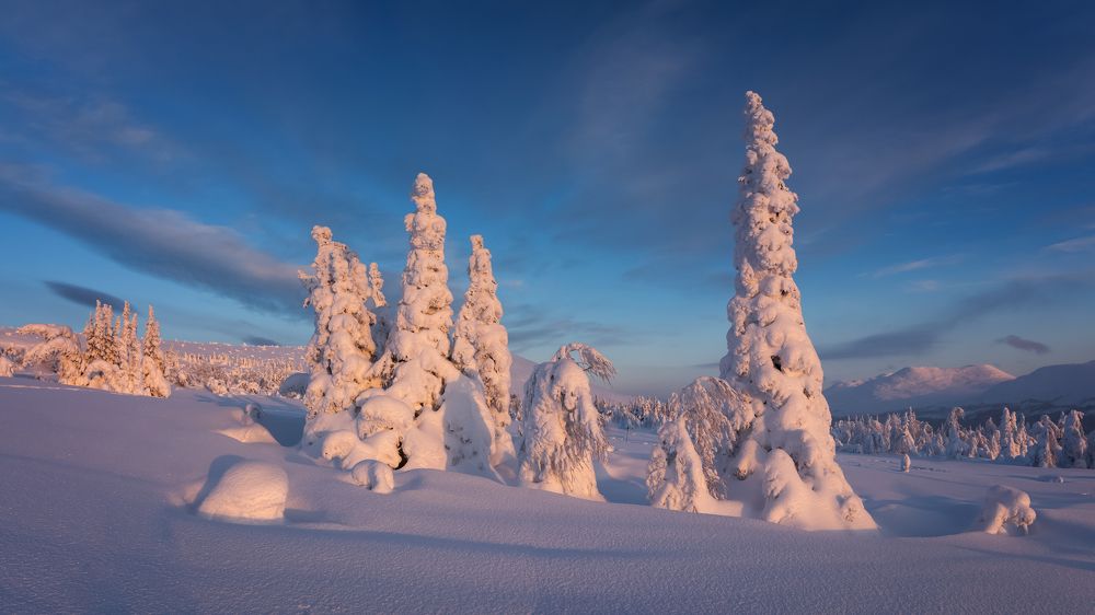 Фотография автора Александр Рудный
