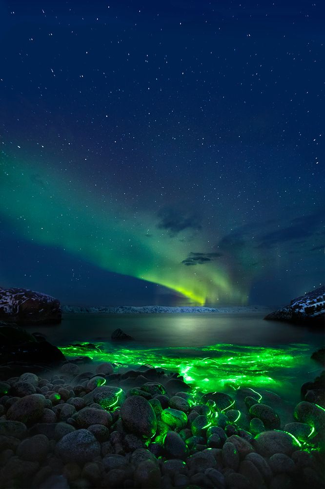 Photograph by Андраханов Олег