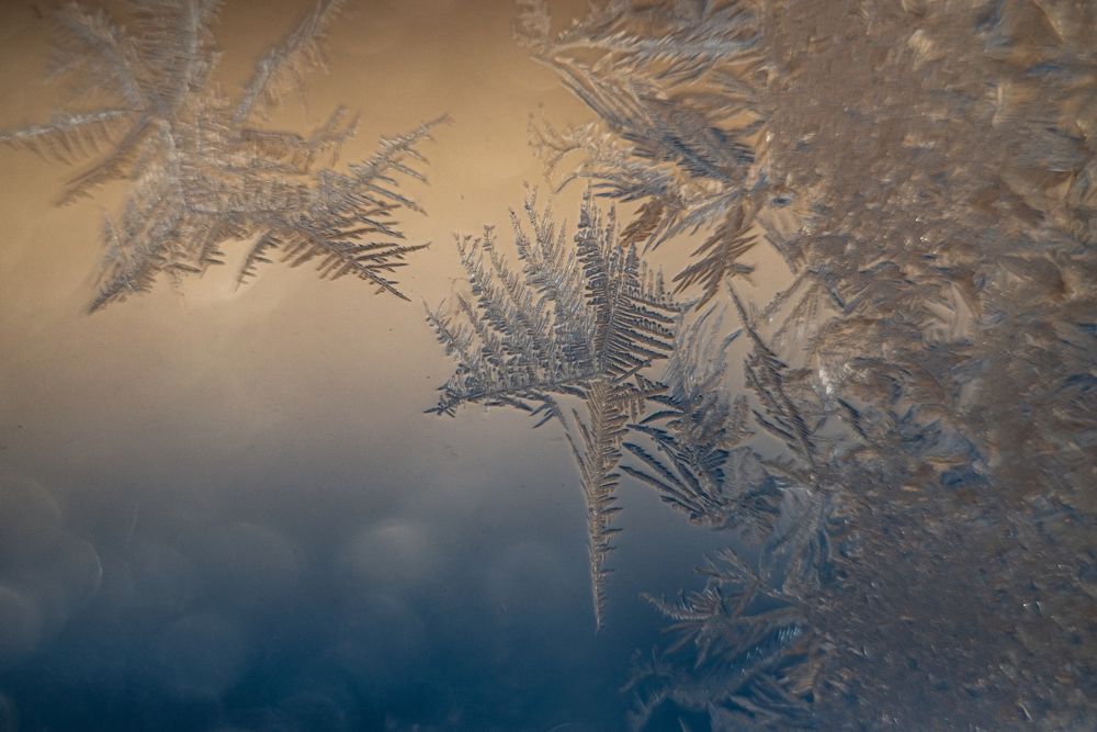 Photograph by Марина Тихонова