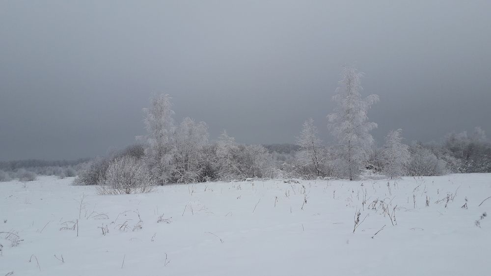 Photograph by NataliR