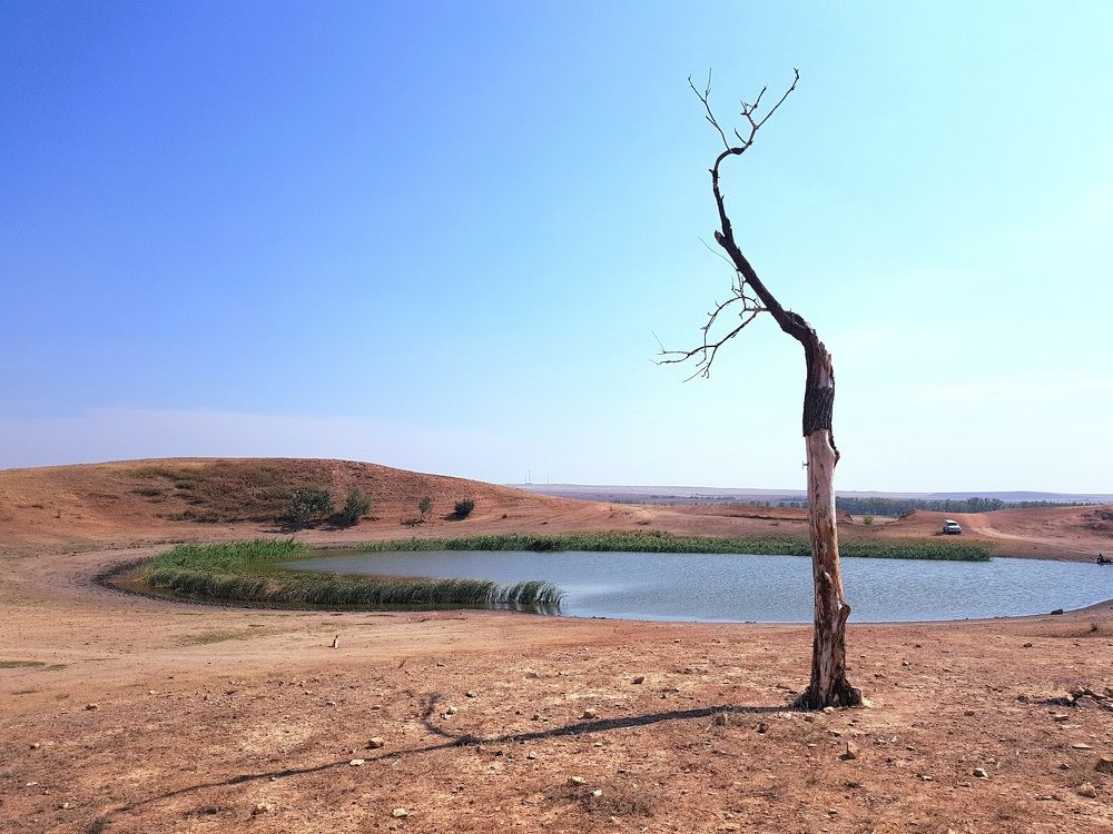 Photograph by Наталья Анисимова