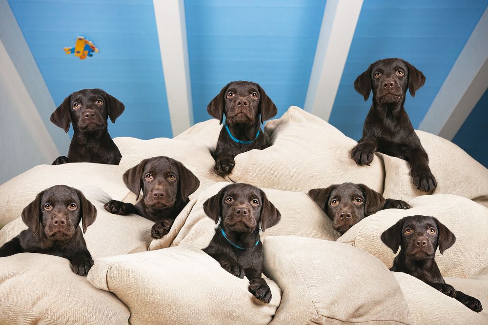 Фотография автора Mattia Gorno