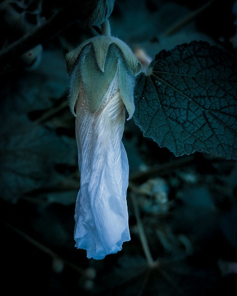 Photograph by Дарья Макаревич