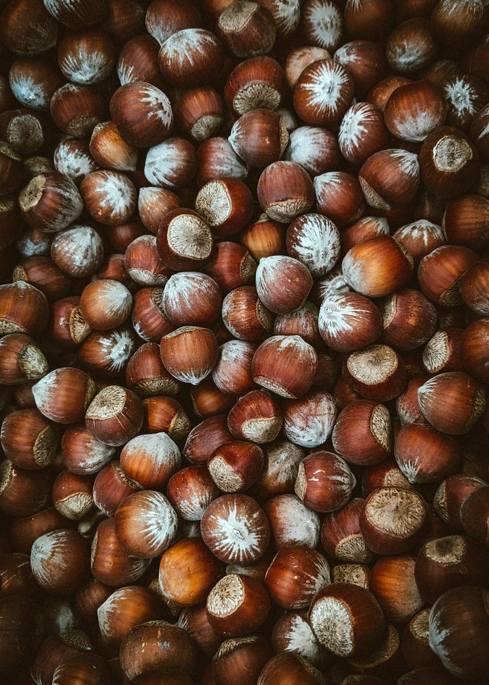 Photograph by Дарья Макаревич