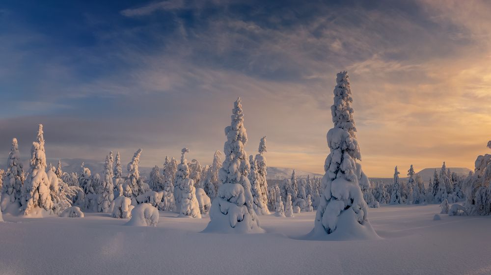 Фотография автора Александр Рудный