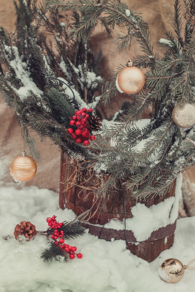 Photograph by Anastasi Pavlik