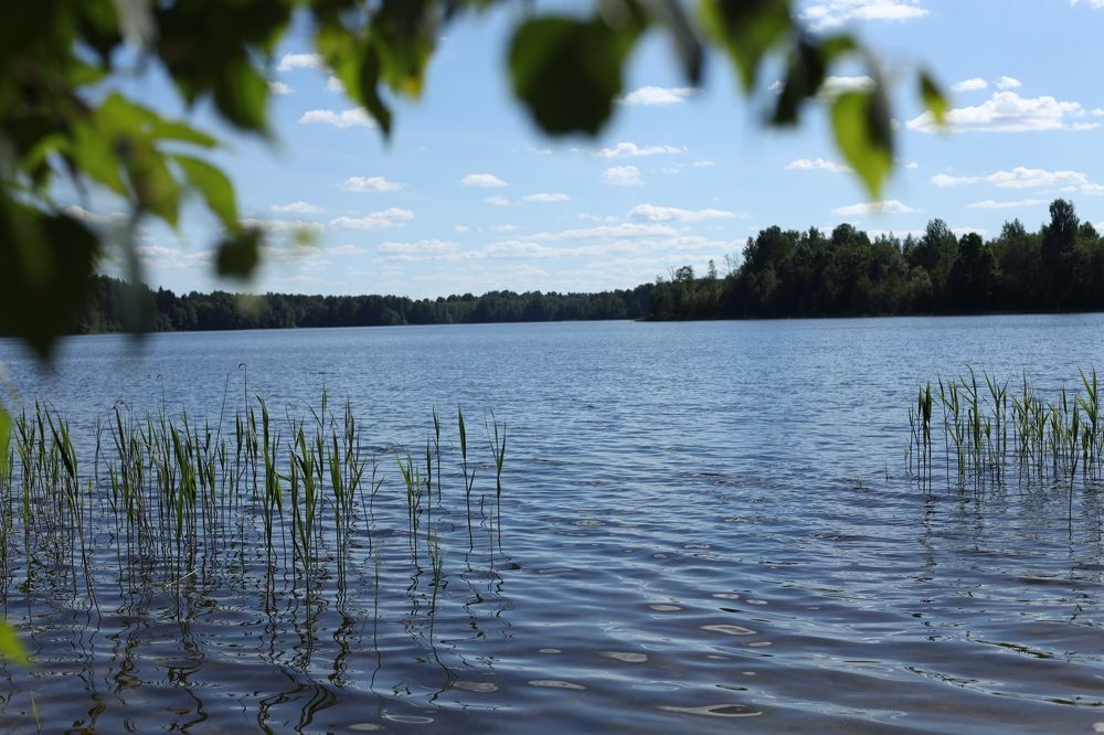 Photograph by Щеголихина Елена Евгеньевна