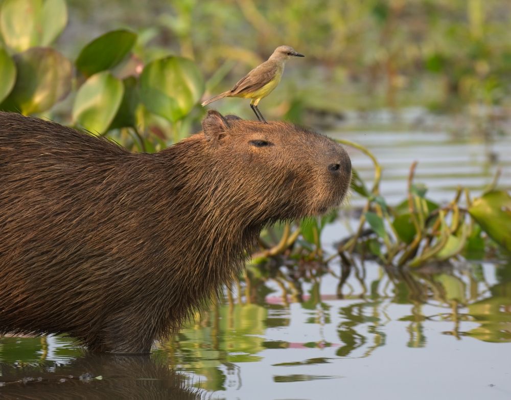 Photograph by Игорь Щербаков