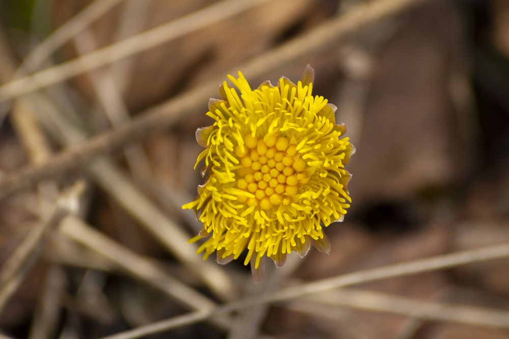 Photograph by Виктор Федотов