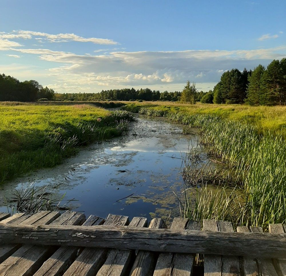 Photograph by Щеголихина Елена Евгеньевна