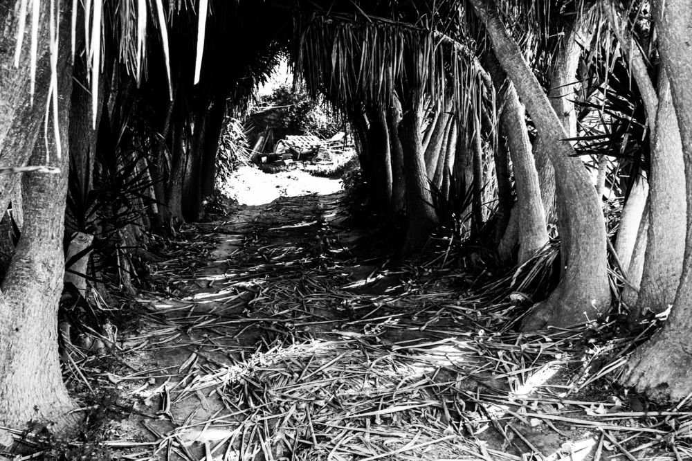 Photograph by Ernest Spiteri Gonzi