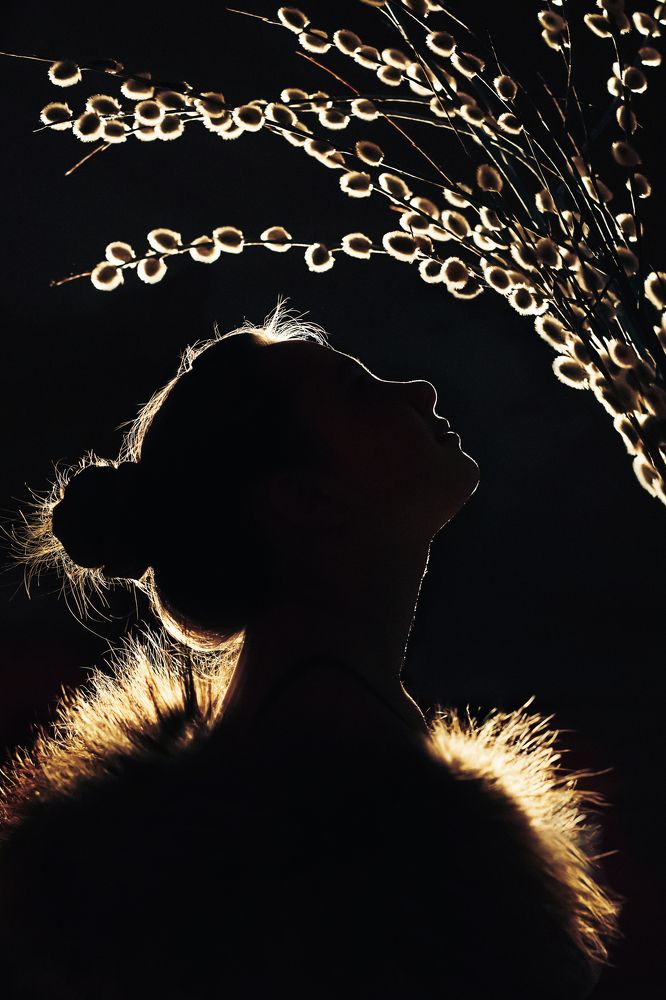 Photograph by Лебедева Ольга