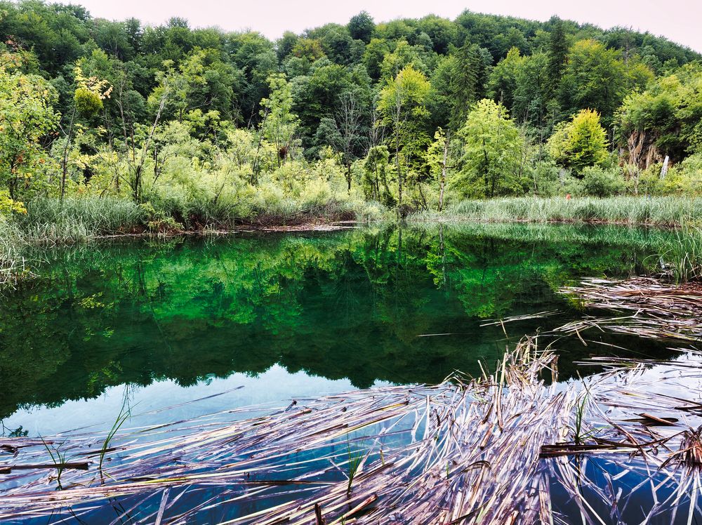 Водная гладь