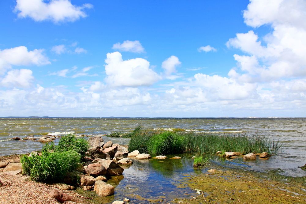 Фотография автора Сергей Барановский