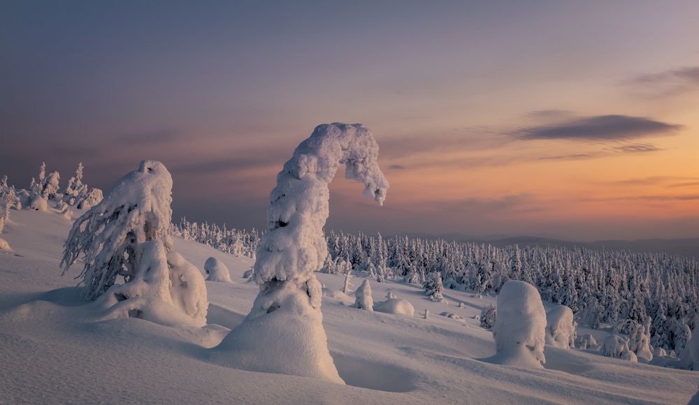 Фотография автора Александр Рудный