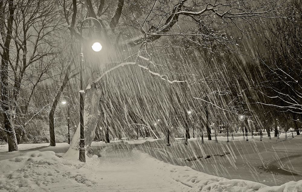 Фотография автора Ольга Виноградова