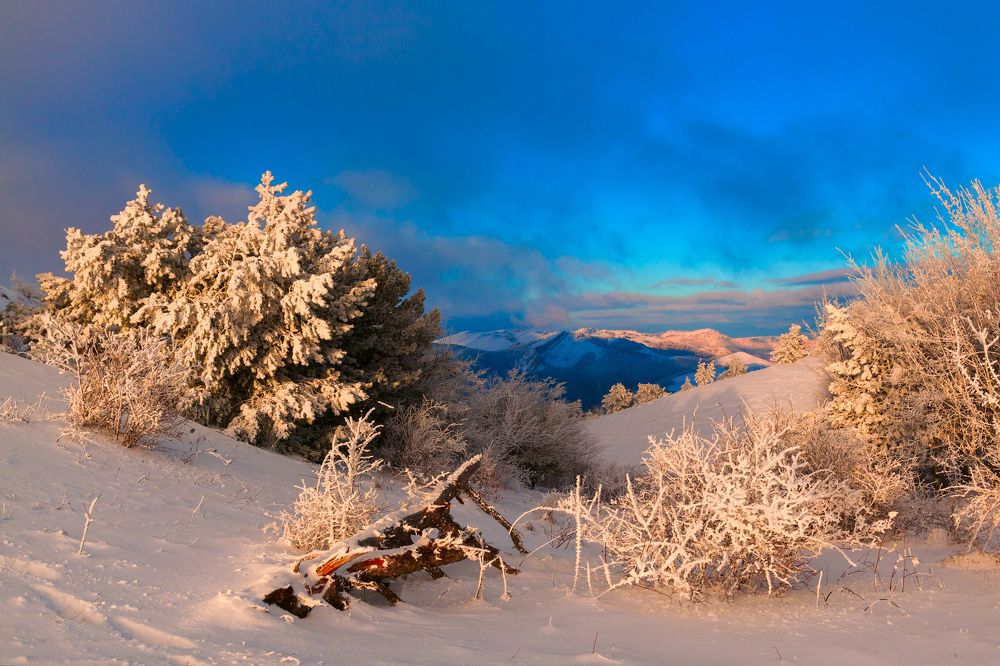 Photograph by Konstantin Voronov