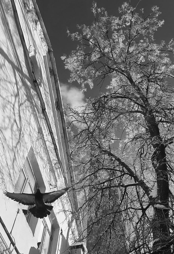 Фотография автора Владимир