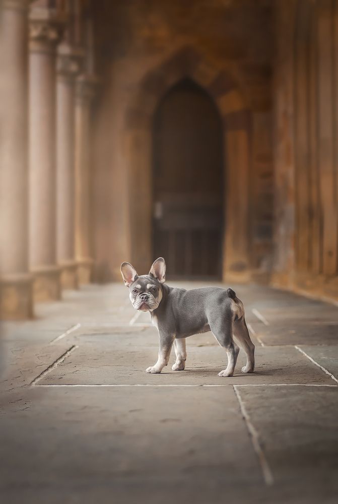 Фотография автора Eugenia Tuzova