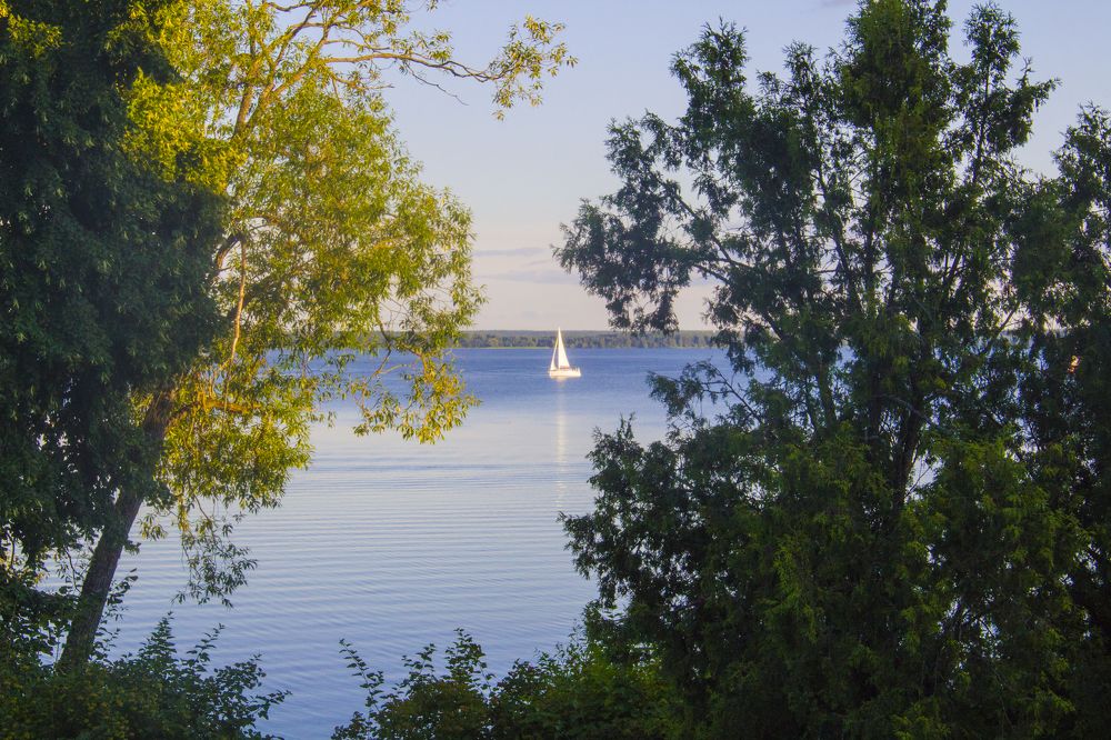 Photograph by Светлана