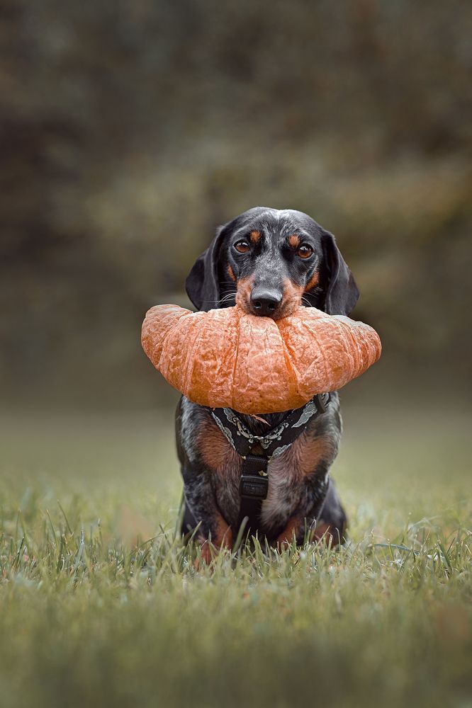 Фотография автора Eugenia Tuzova