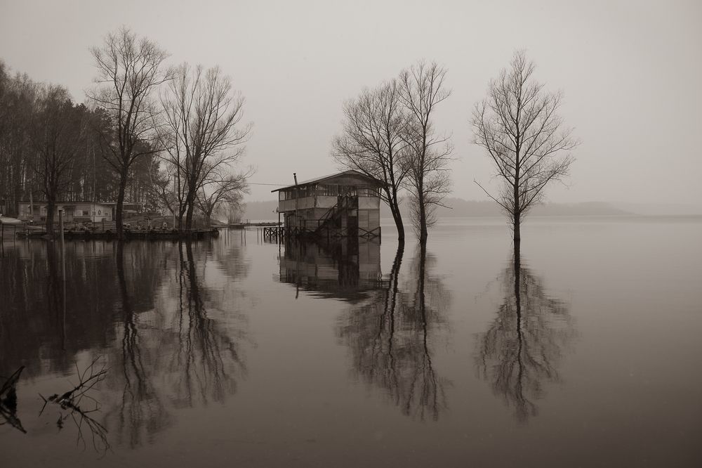 Photograph by Максимова Дария