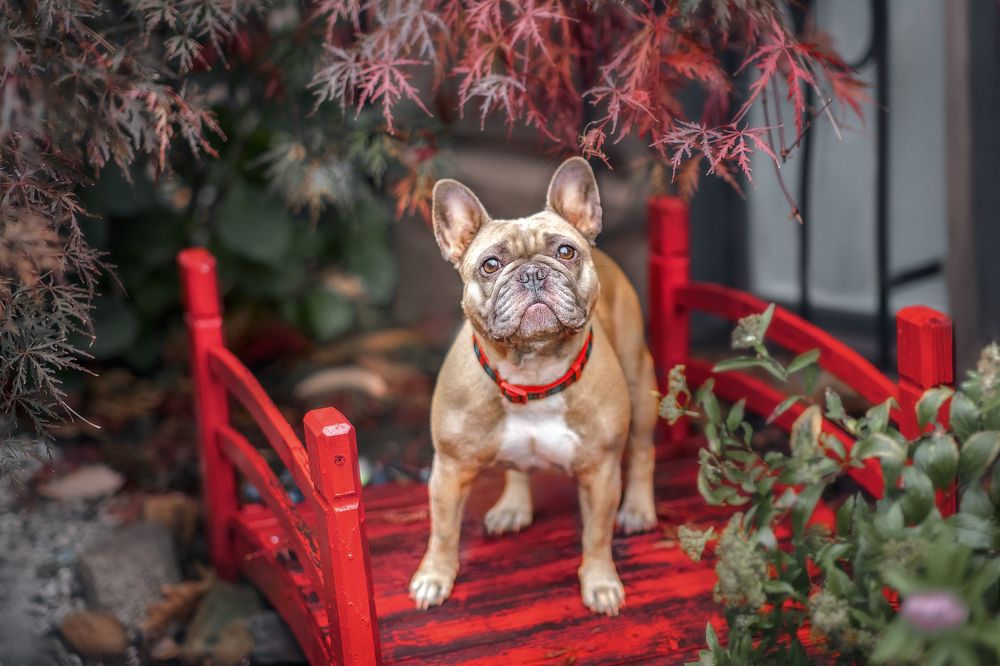 Фотография автора Eugenia Tuzova