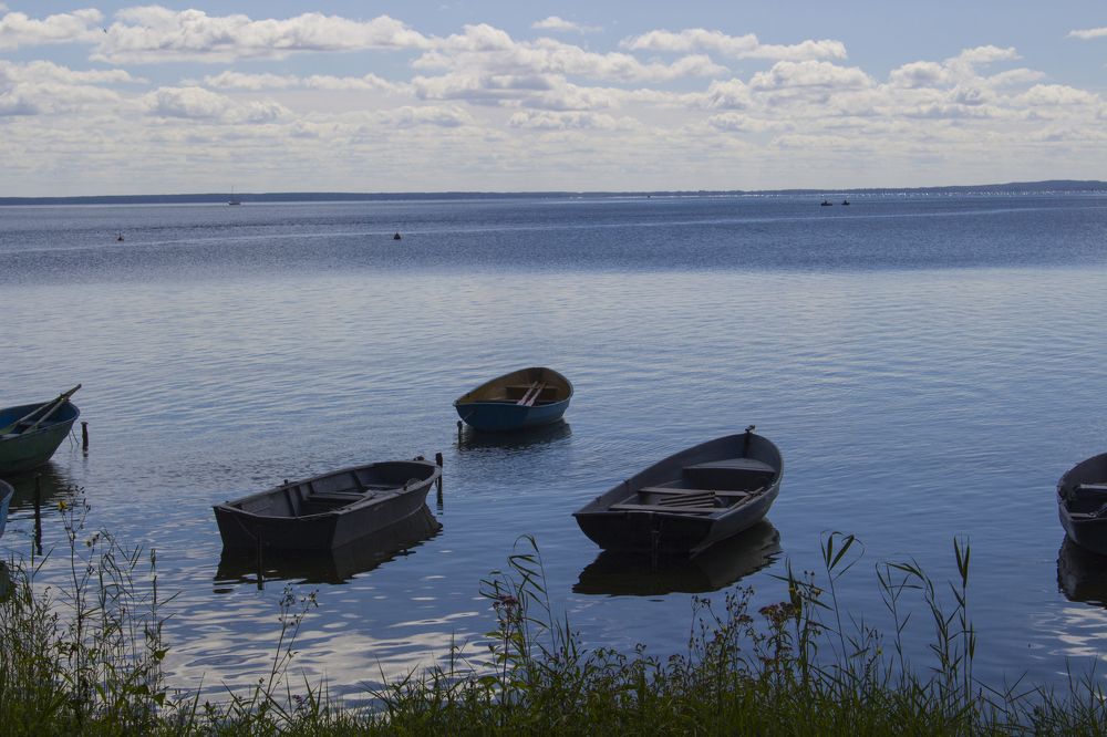 Photograph by Светлана