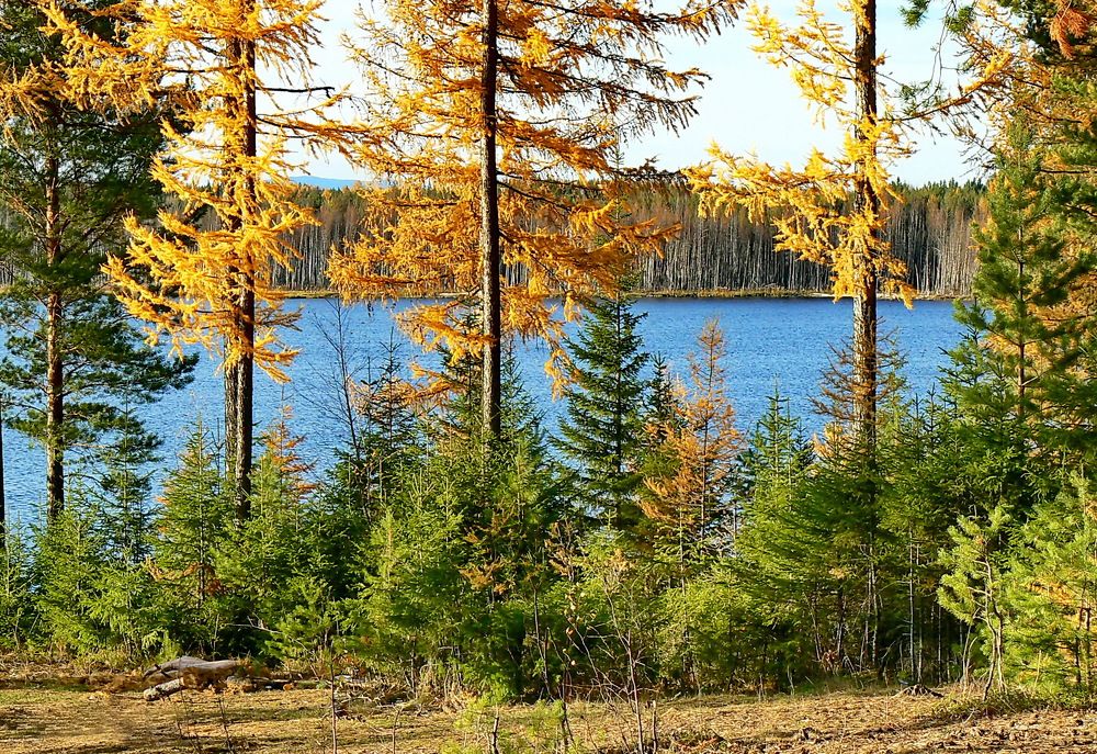 Photograph by Sergei Petrov