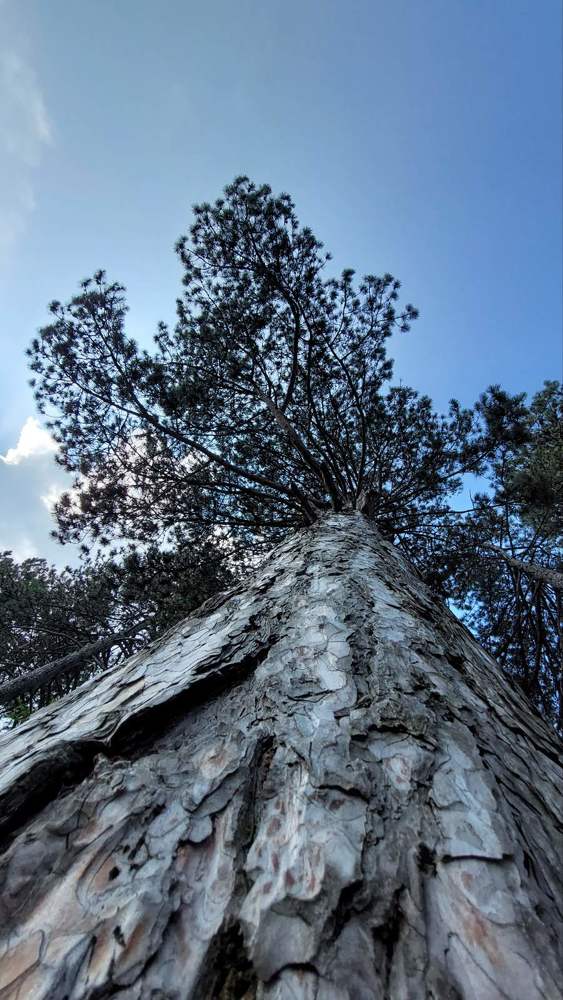 Photograph by Svitlana Usatenko