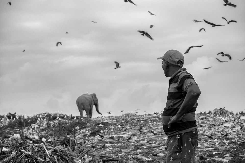 Photograph by  Ahamed Jazif