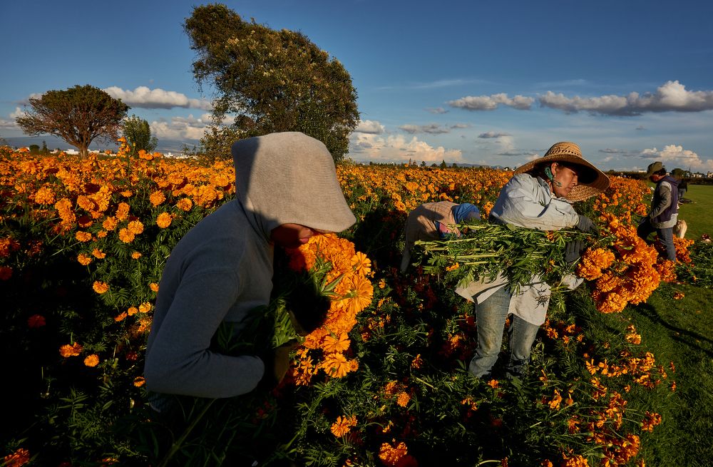 Photograph by Fernando izaguirre