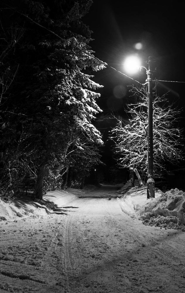 Фотография автора Виталий Дузь