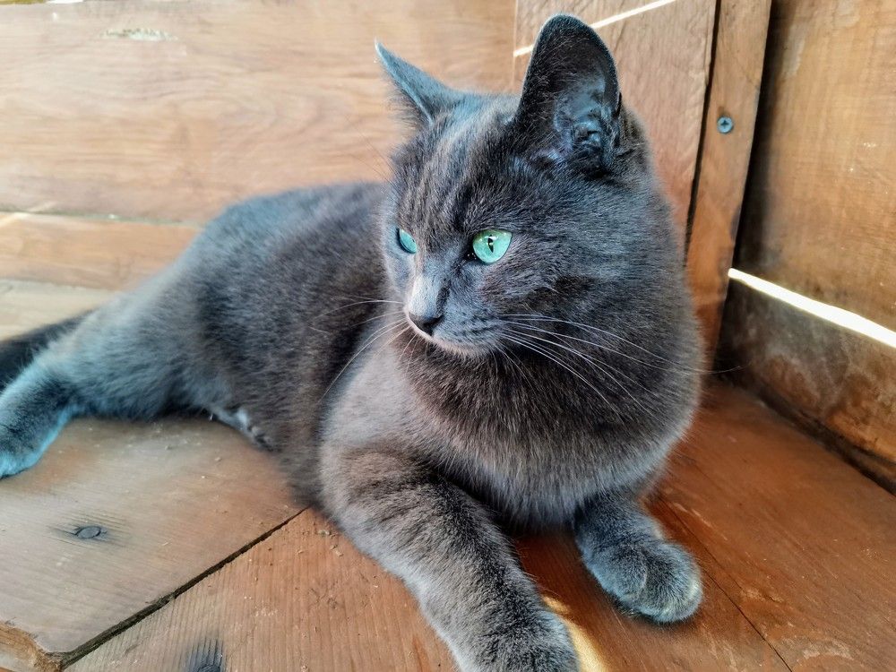 Photograph by Mariya Sinitsina