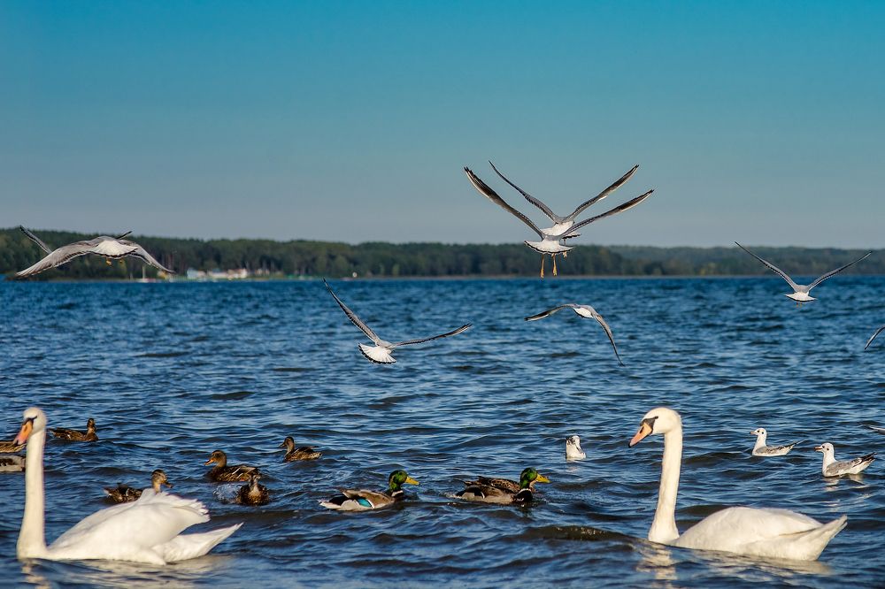 Озеро Нарочь, Белорусия