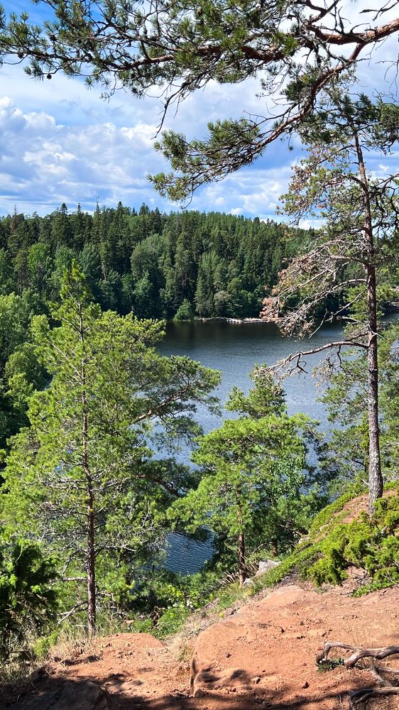 Photograph by Елена Лобакова