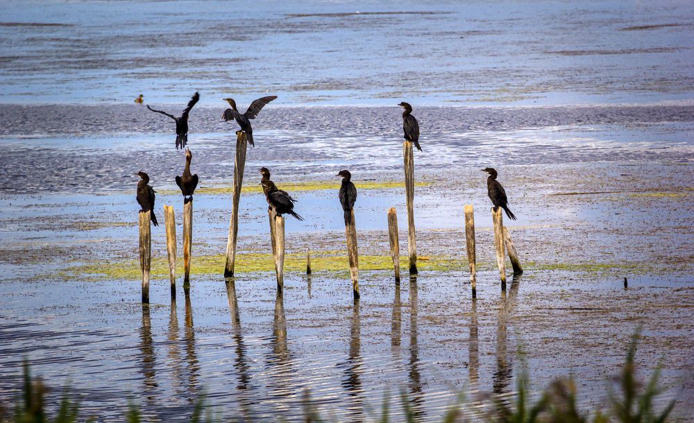 Photograph by Stamen Sotirov