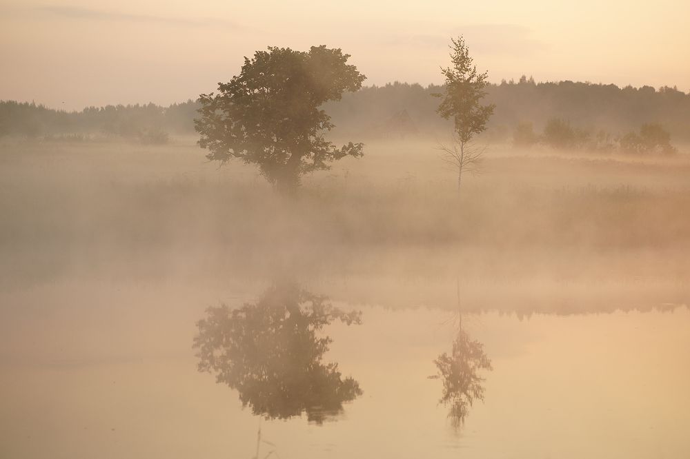 Photograph by Вячеслав Швецов