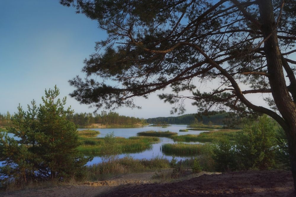 Photograph by Колоскова Мария