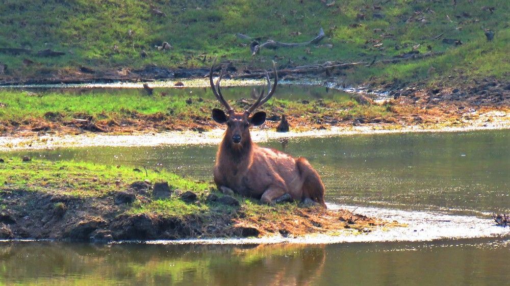 Photograph by ANISH BISWAS